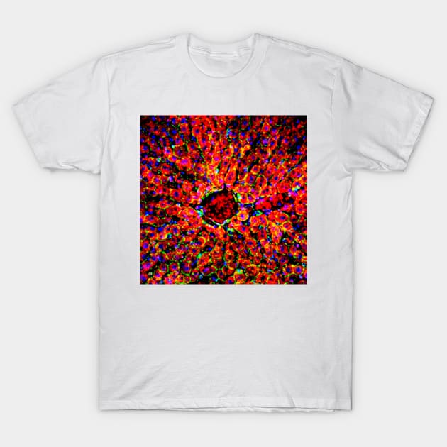 Liver tissue, fluorescence micrograph (C016/8491) T-Shirt by SciencePhoto